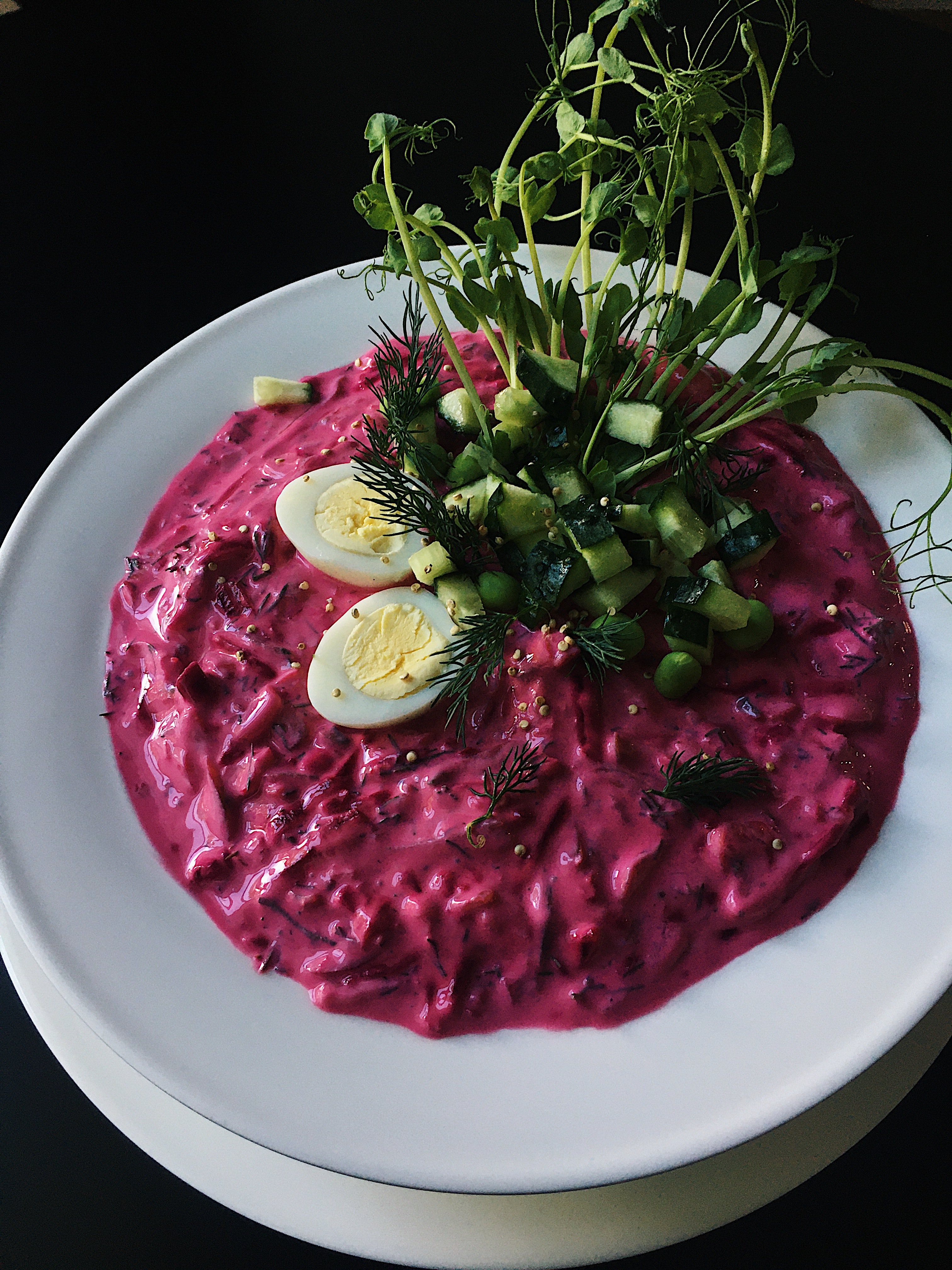 Traditional Borscht Soup